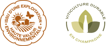logo haute Valeur Environnementale et Viticulture Durable